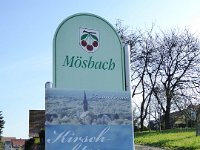 11 Cerisiers en fleurs dans l&#39;Ortenau Mösbach 10 04 2016 06